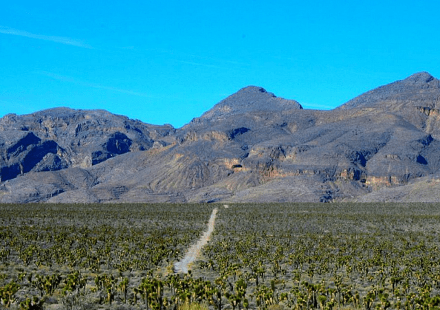 Road to Yucca Mountain
