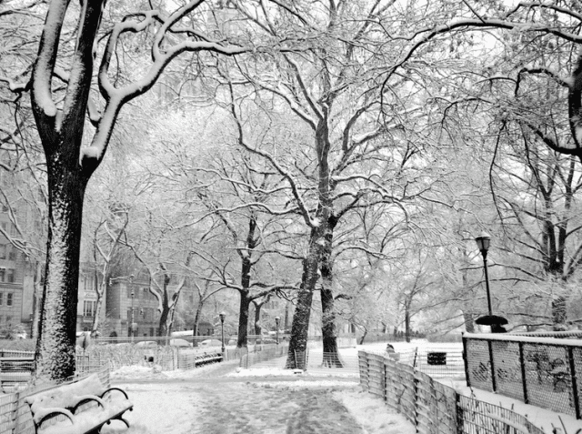 New York City snowstorm