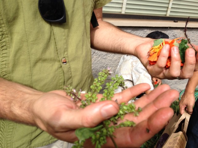 Nat Bletter edible local food forager
