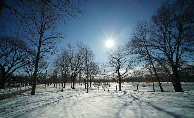 Washington DC Mall morning snow. 23 feb 2015. photograph Cory Lum/Civil Beat