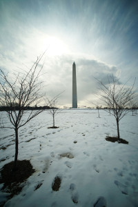 Vertical view of Washington Monument. 27 feb 2015. photograph Cory Lum/Civil Beat