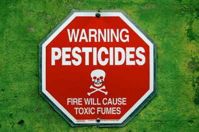 The combined exposure to chlorpyrifos in our food and water doesn't meet safety standards, the EPA says. 