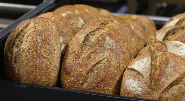 La Tour Bakehouse organic bread. 4 oct 2015. photograph Cory Lum/Civil Beat