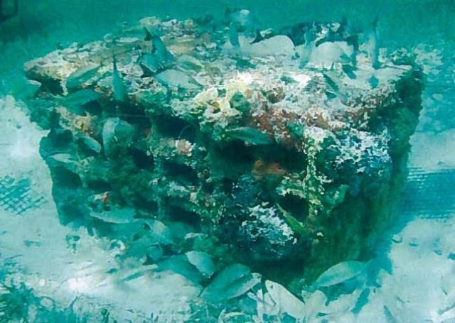 A holed reef module in the Bahamas is surrounded by fish and overgrown with coral and sponges.
