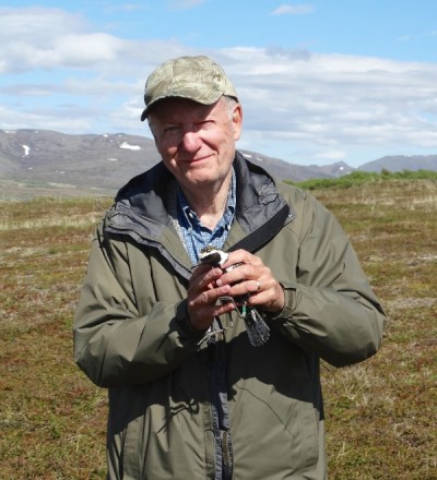 Montana ecologist Oscar "Wally" Johnson with a Pacific golden plover.