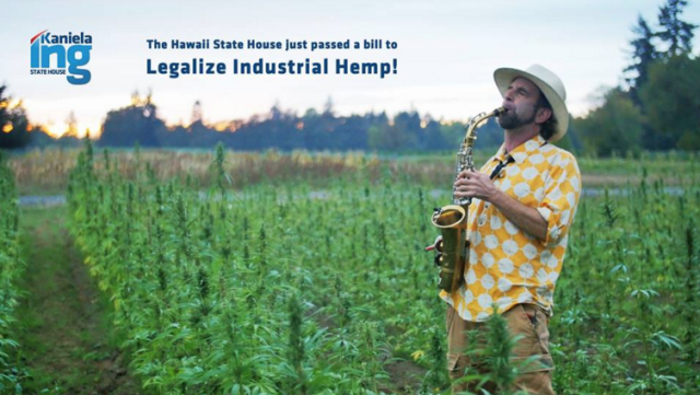 Rep. Kaniela Ing celebrated his industrial hemp bill clearing the House on Friday in a Facebook post that included this image.