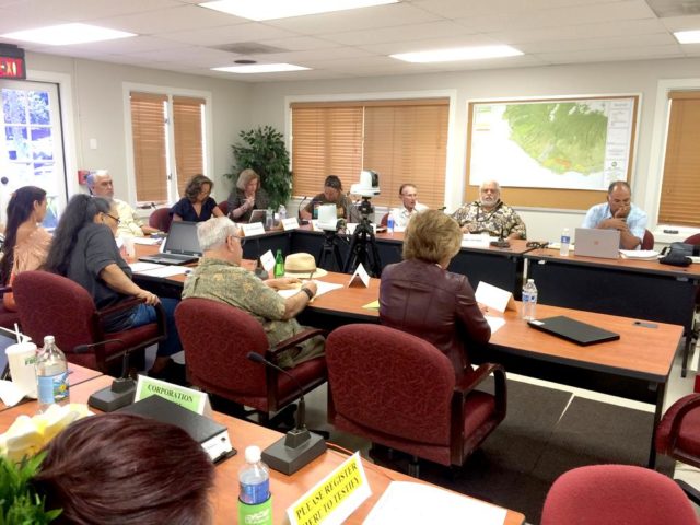 Special committee members discuss options related to transitioning Maui from a strong-mayor government to one featuring a county manager instead. 