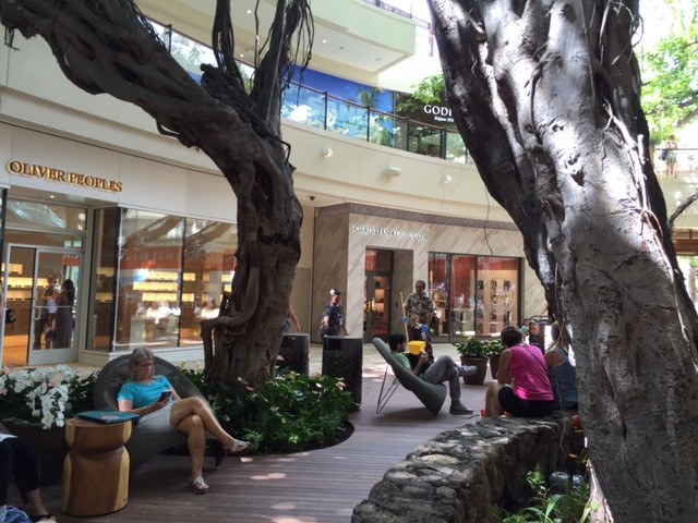 Roots of the big Indian banyan now make a relaxing sitting area on the ground floor of the revamped market place.
